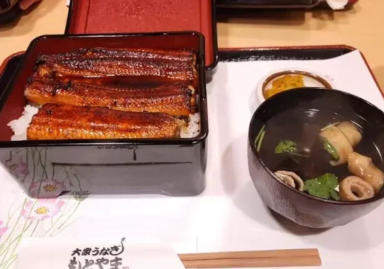 綾鷹（500ml）1本プレゼント
