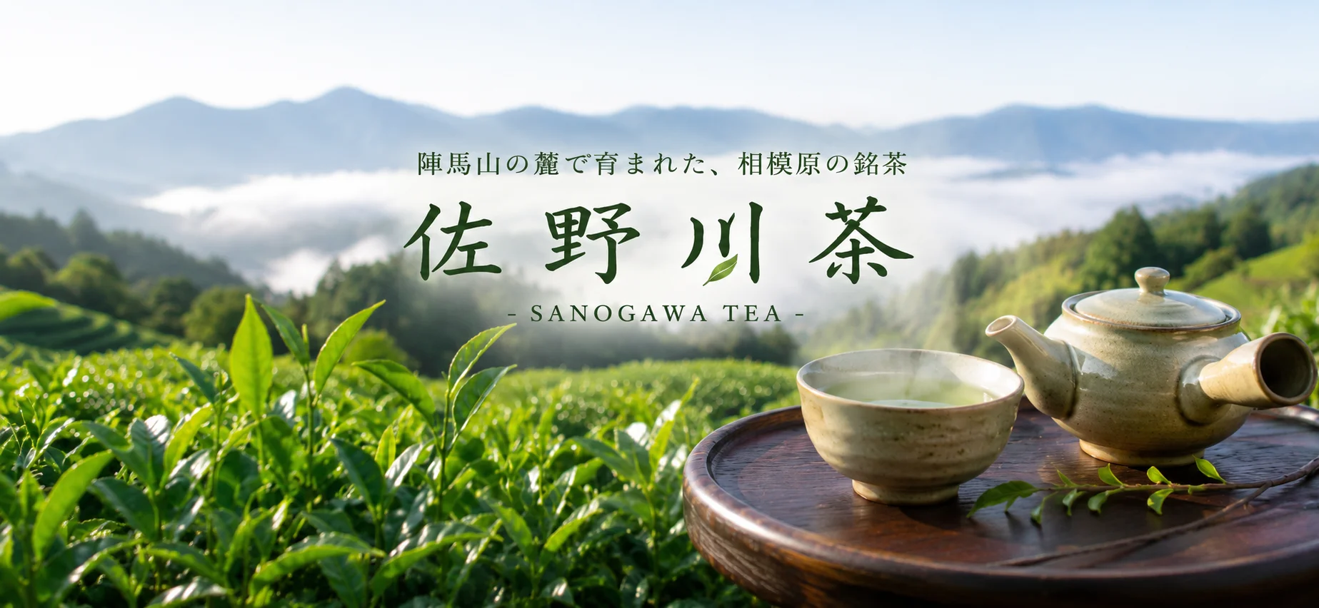 陣馬山の麓で育つ、幻の銘茶