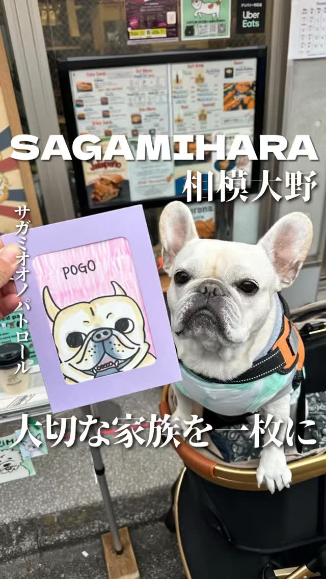 サガミオオノパトロールの紹介動画