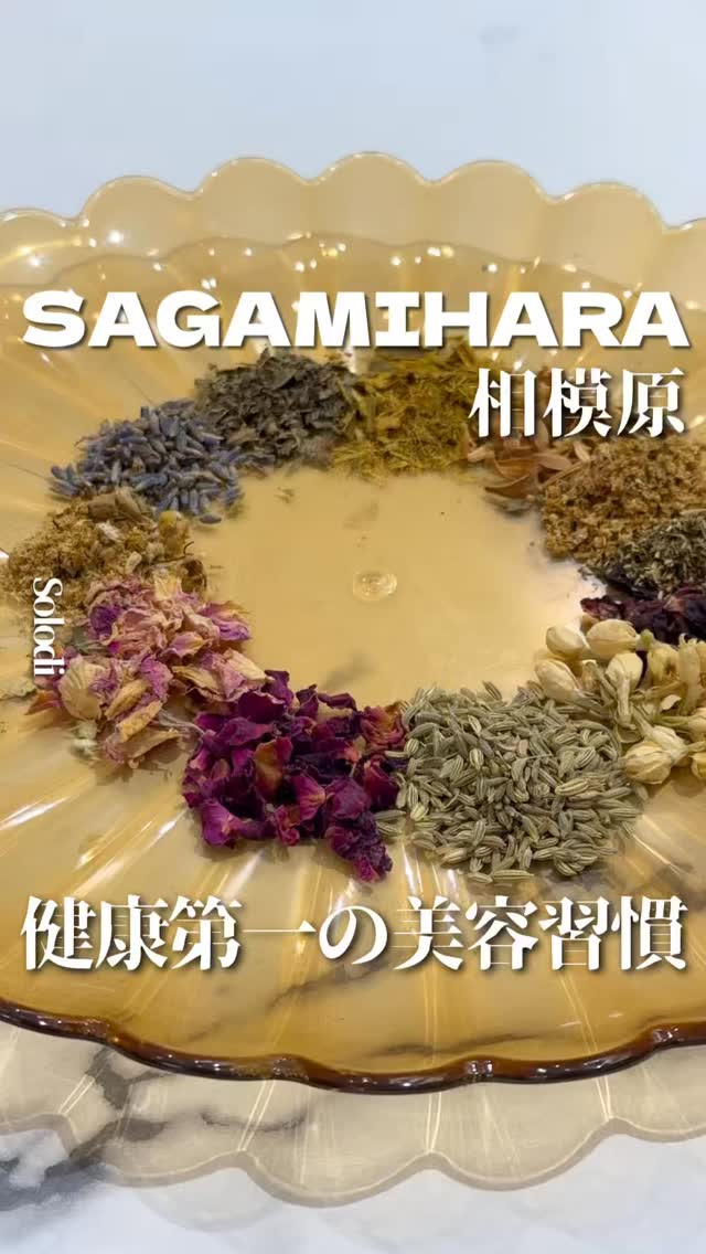 Solodiの紹介動画