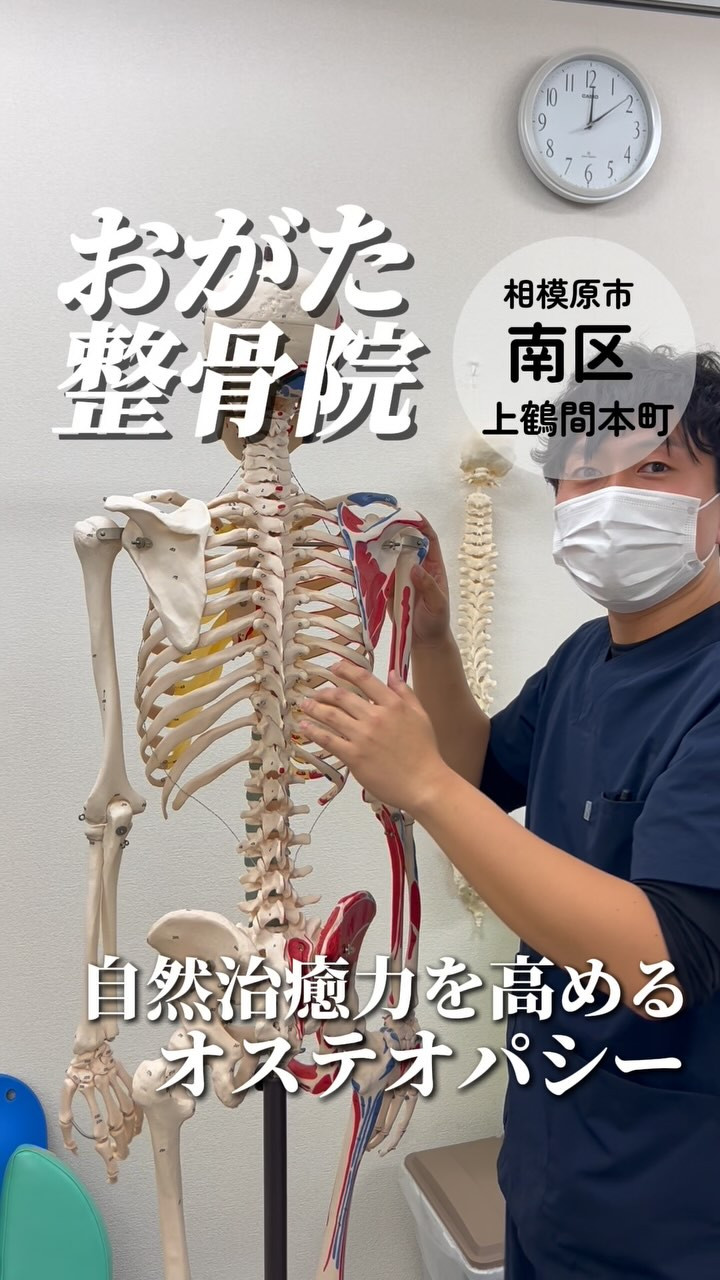 おがた整骨院の紹介動画