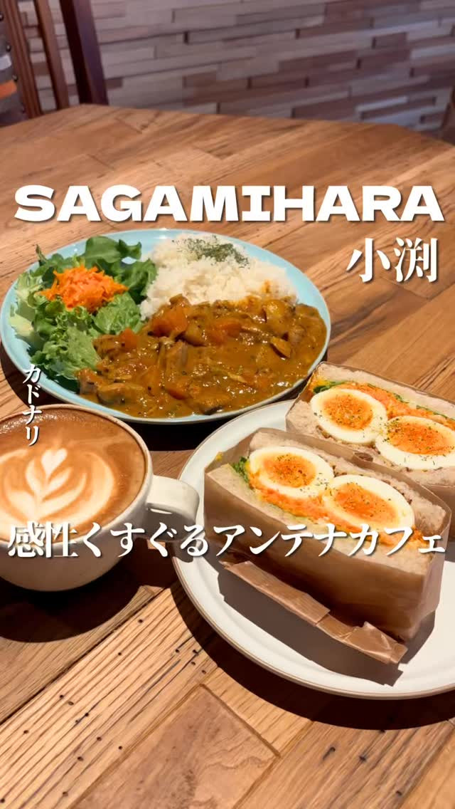 カドナリの紹介動画