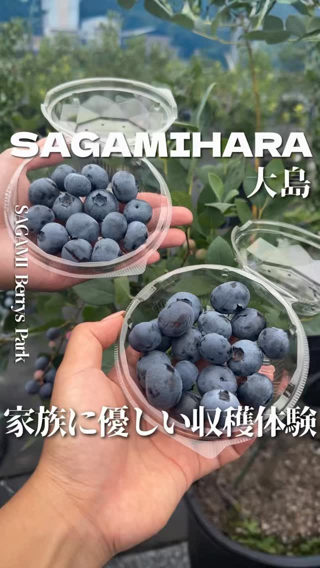 SAGAMI Berrys Parkの紹介動画