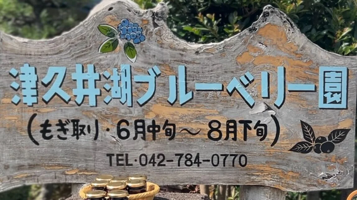 津久井湖ブルーベリー園