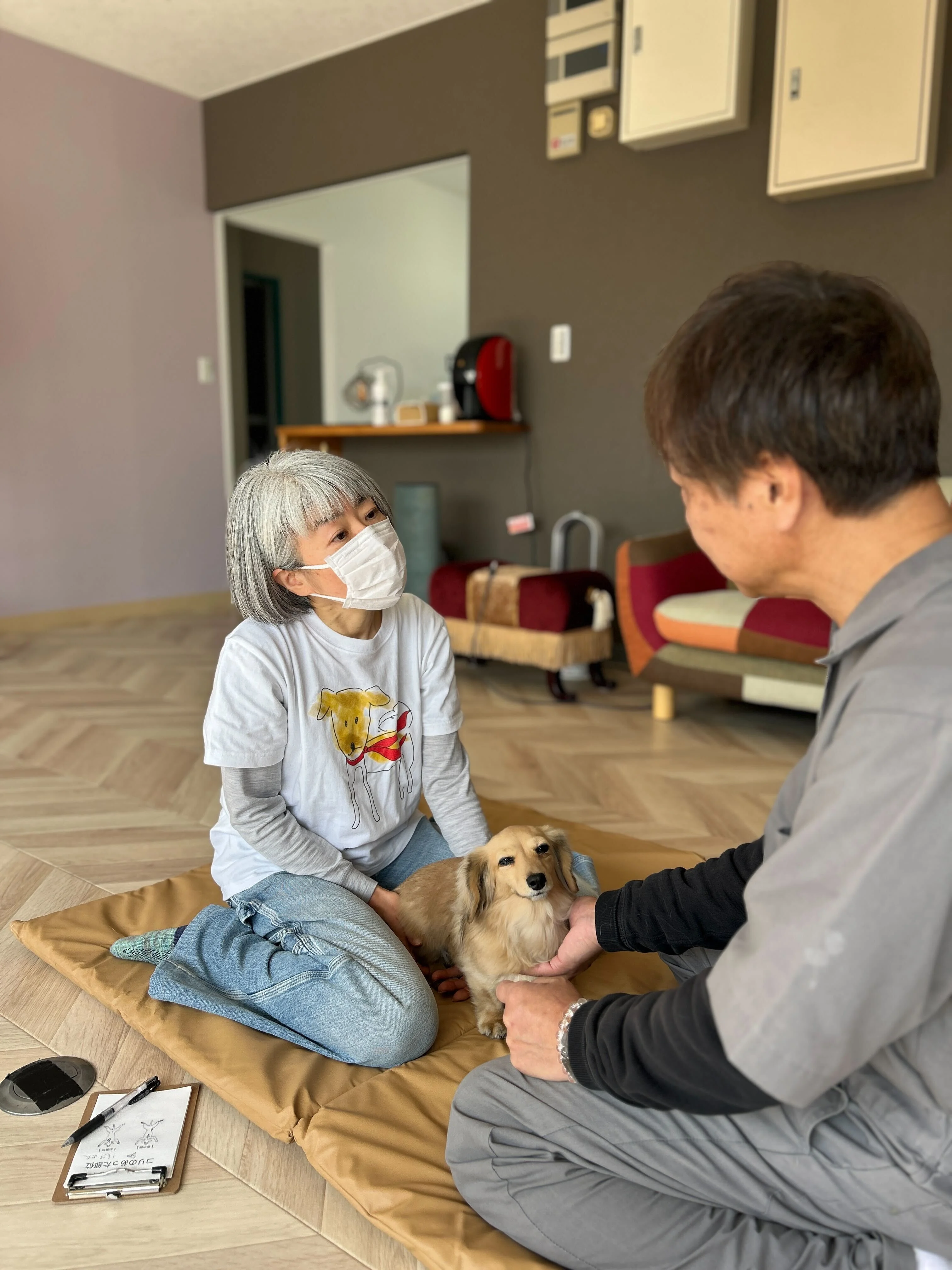 犬とあるこ